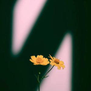 丁度巜生殖按摩1995在线播放
